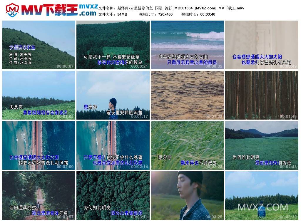 赵泽南-云里游泳的鱼_国语_流行_MD501334